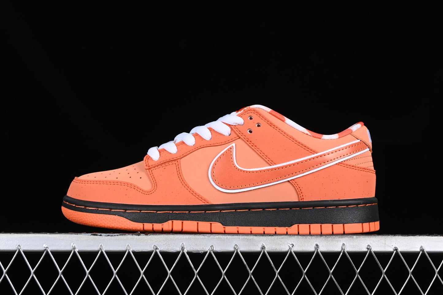 Nike Dunk x Concepts