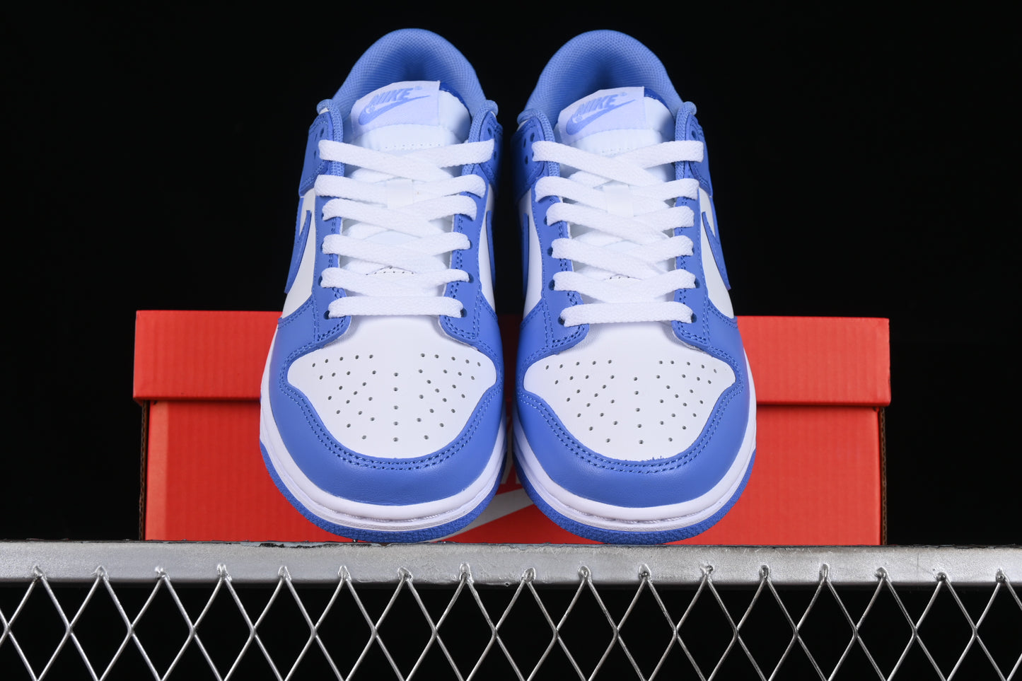 Nike Dunk "Polar Blue"