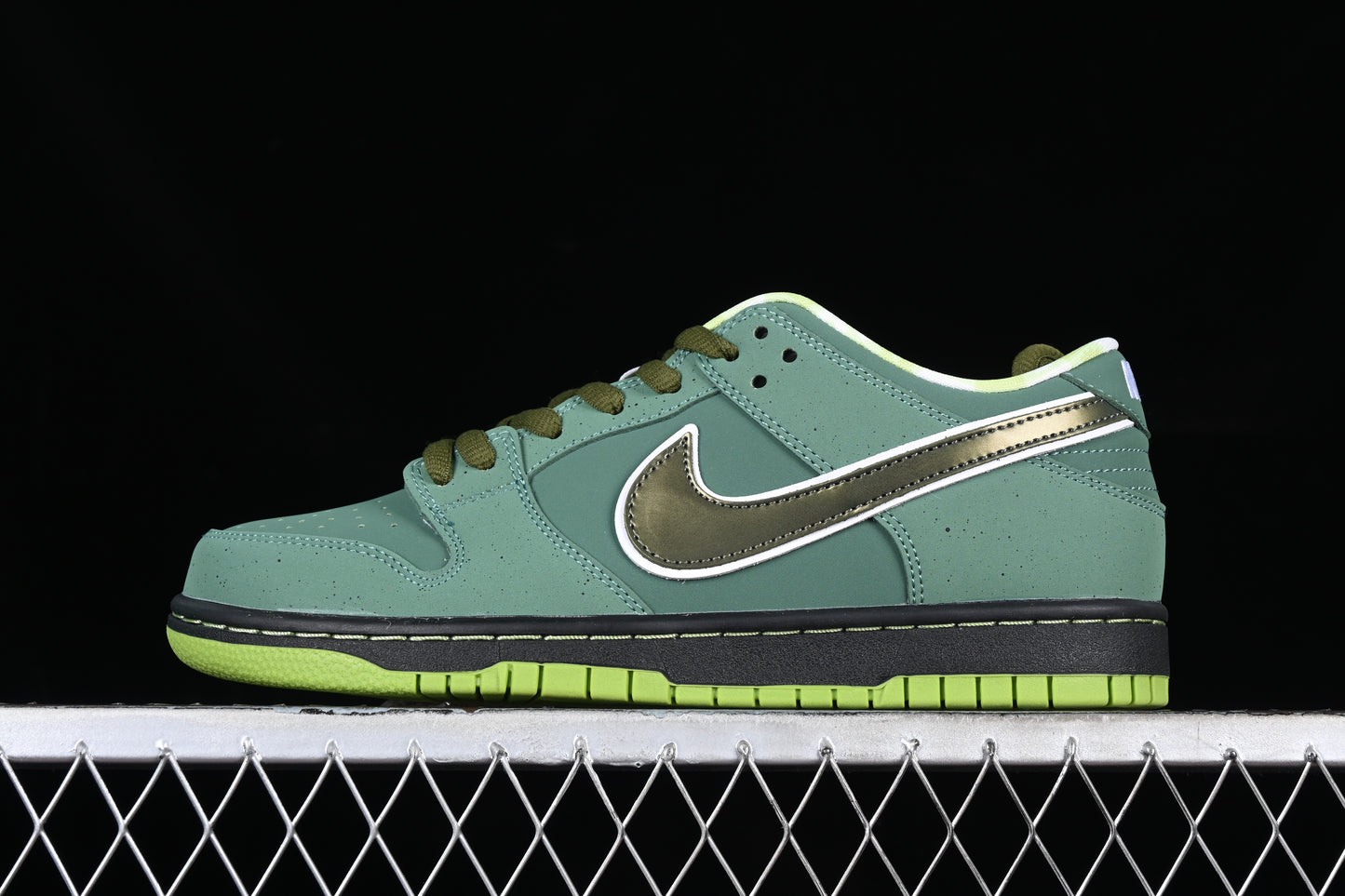 Nike Dunk x Concepts