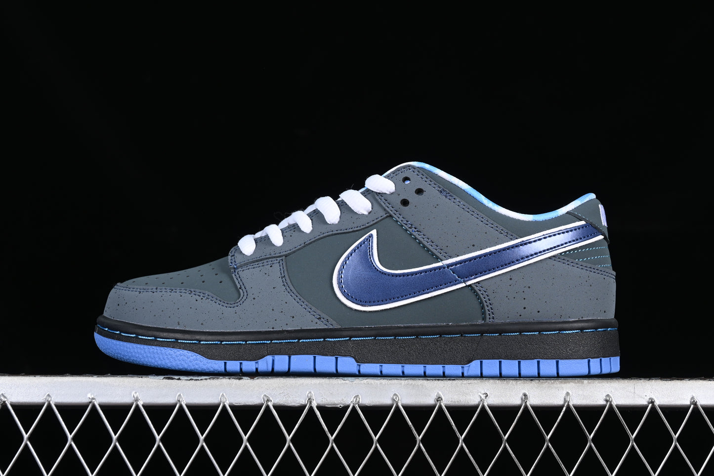 Nike Dunk x Concepts