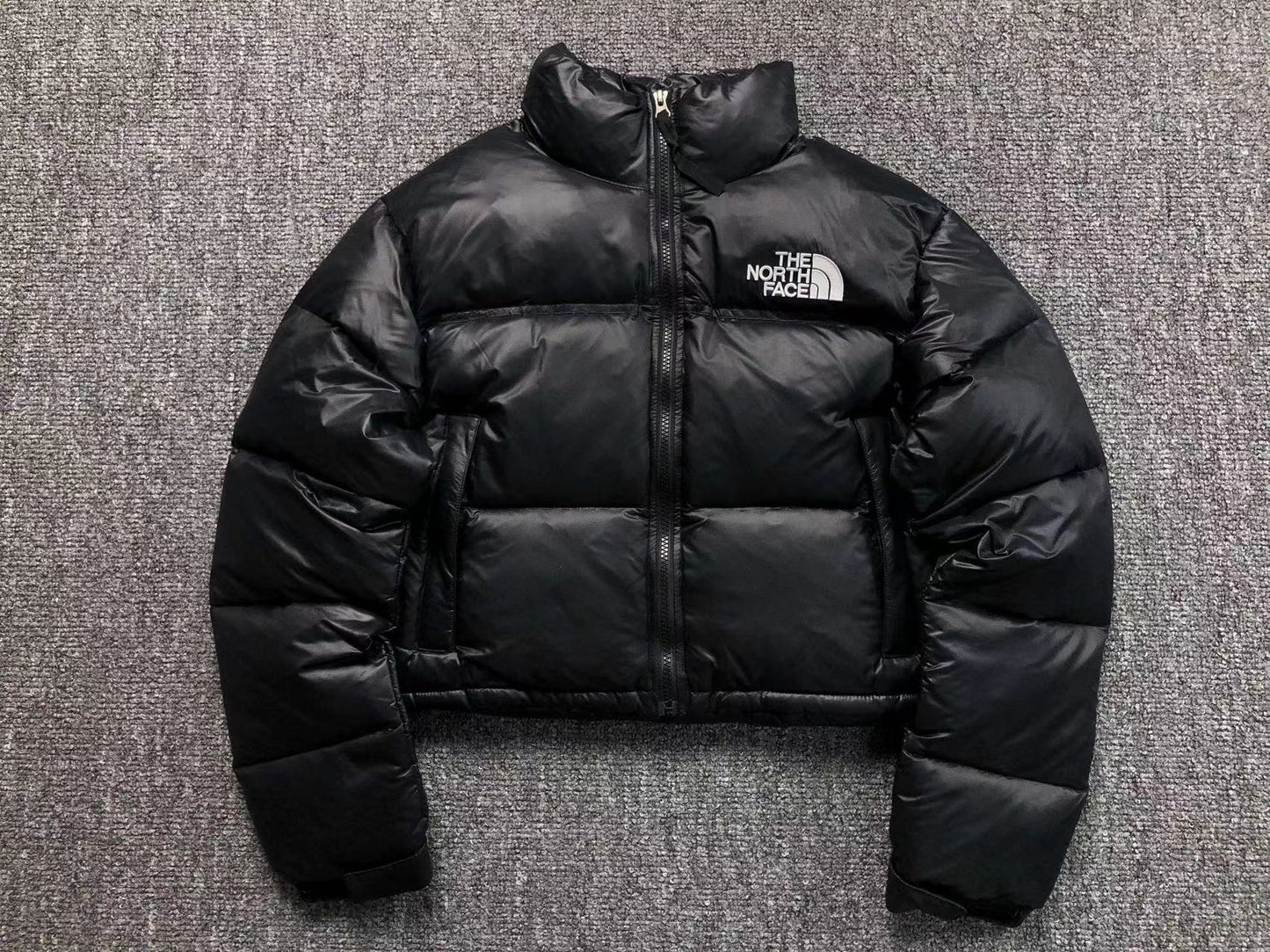 The North Face  Female Jacket